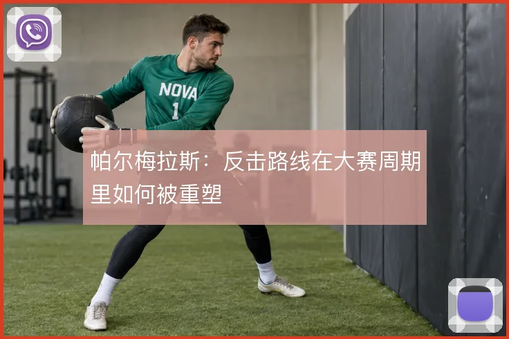 帕尔梅拉斯:反击路线在大赛周期里如何被重塑
