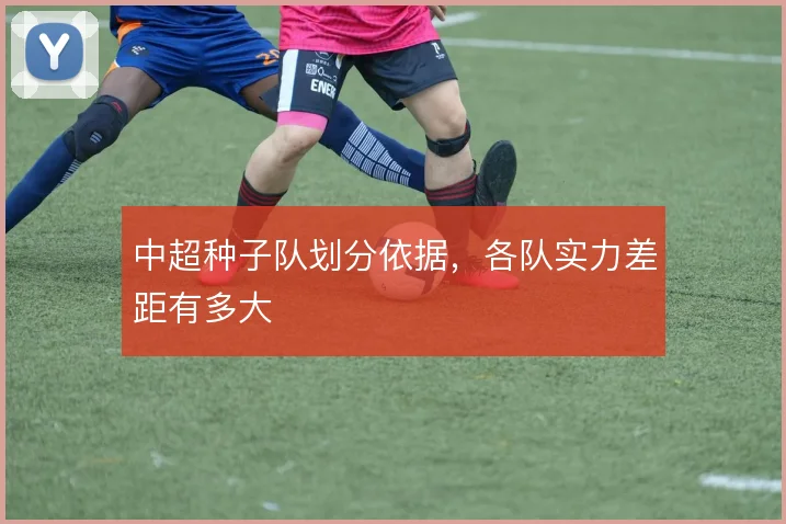 中超种子队划分依据,各队实力差距有多大