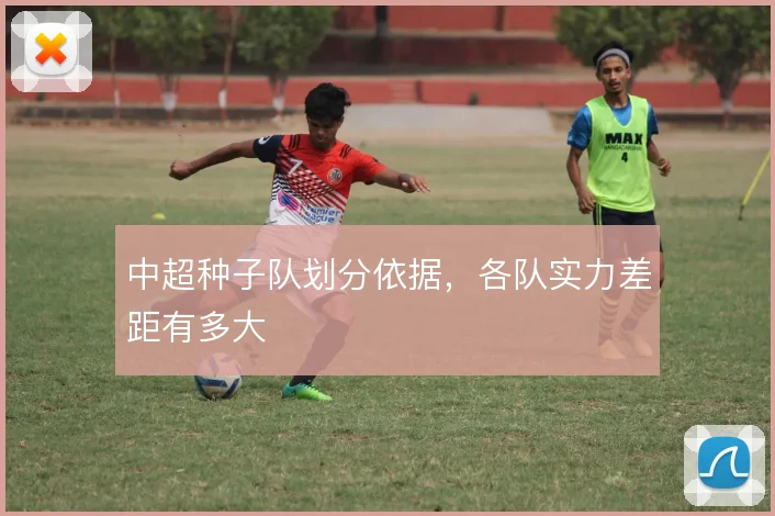 中超种子队划分依据，各队实力差距有多大