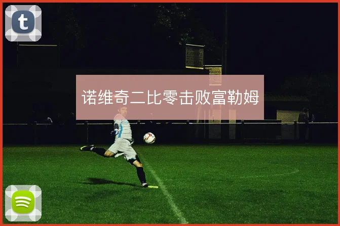 诺维奇二比零击败富勒姆
